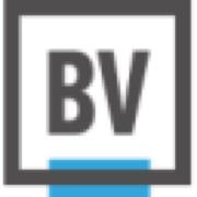 BrandVerity Logo